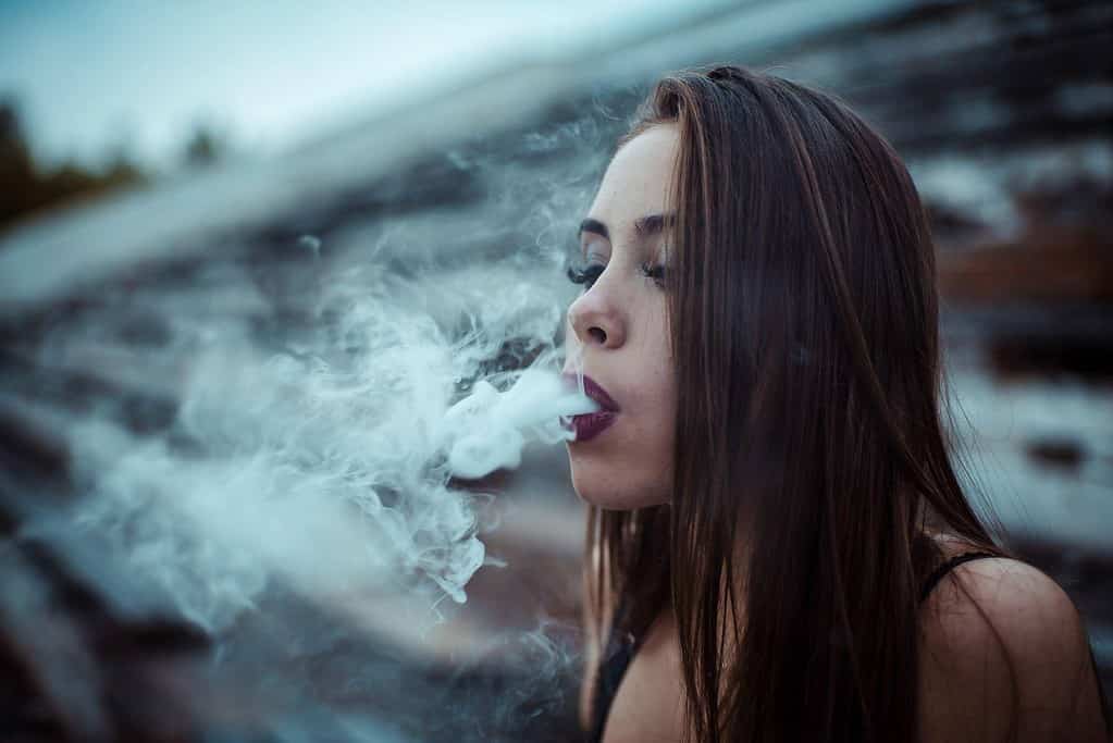El Jay's Flower, dip n stix strain, THCa Pre-rolls, Wholesale Super Combo