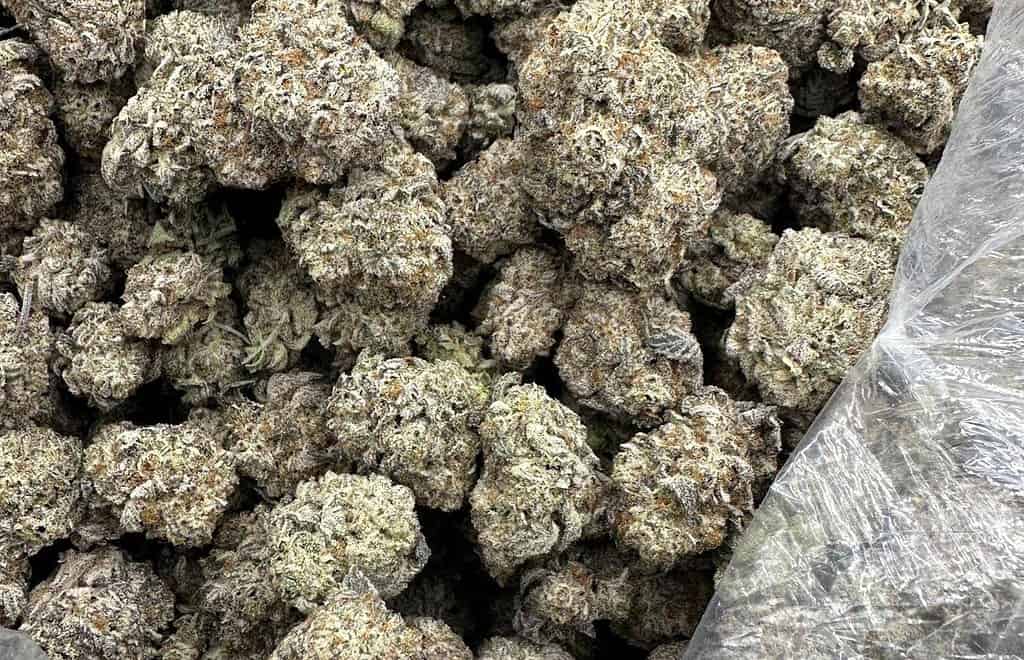 El Jay's Flower, thca flower pounds, THCa Flower, Quarter Pound THCa Flower