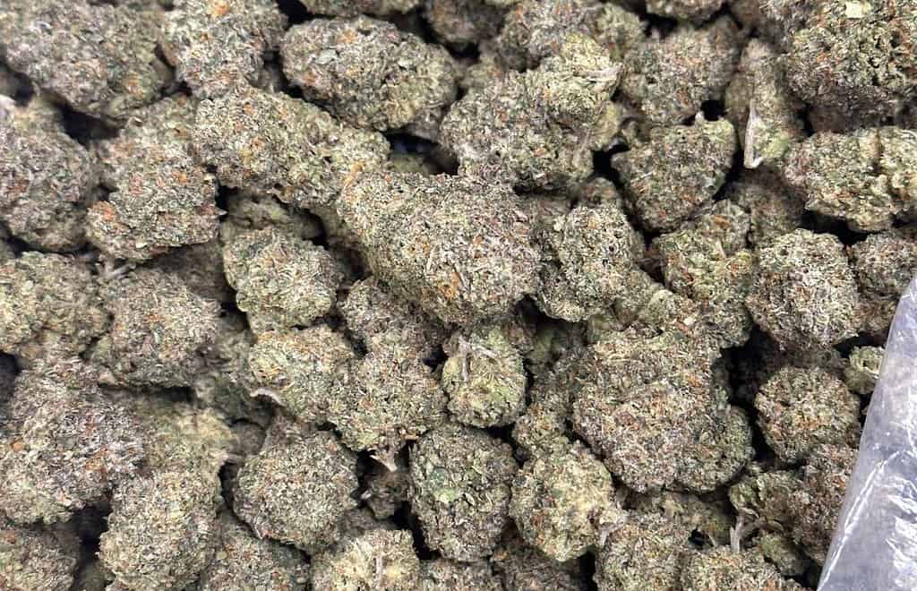 El Jay's Flower, thca flower pound, wholesale thca flower in georgia