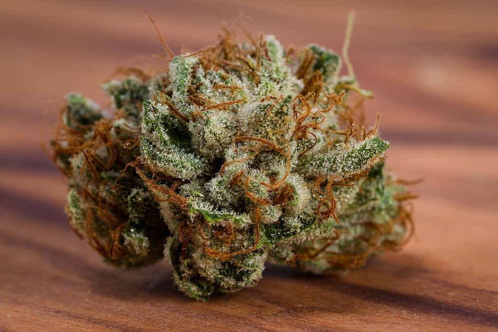 thca side effects