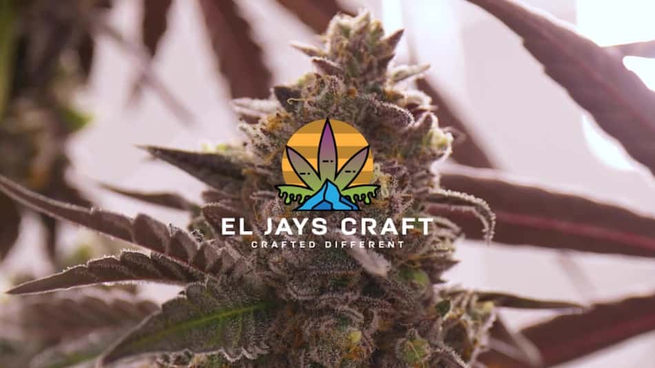 THCa flower pounds, wholesale thca flower in georgia