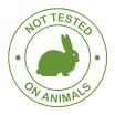 all edibles, thca flower, frequently asked questions, shop, specials, latest insights, about us