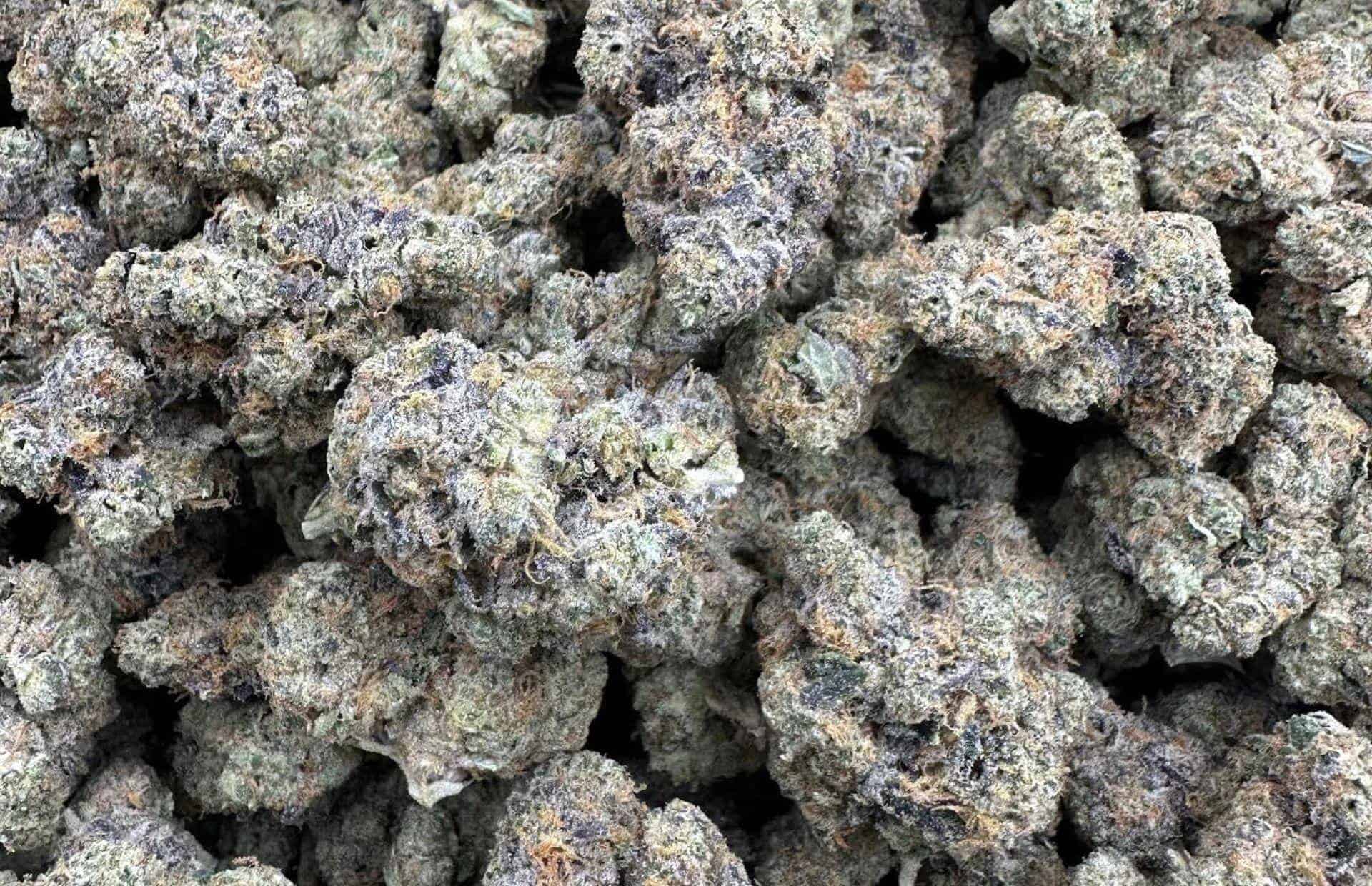 thca flower quarter pound, El Jay's, wholesale thca flowers, thca flowers
