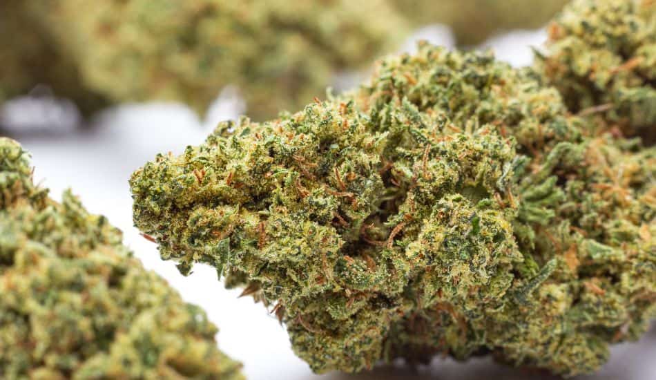 pound of thca flower, thc vs thca