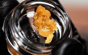 gelonade strain 710