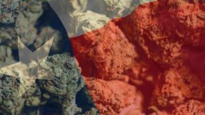 is thca legal in texas