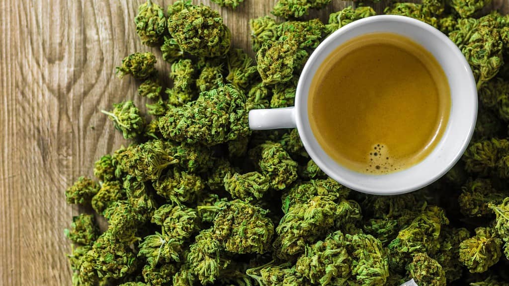 THCA Flower vs THC Flower