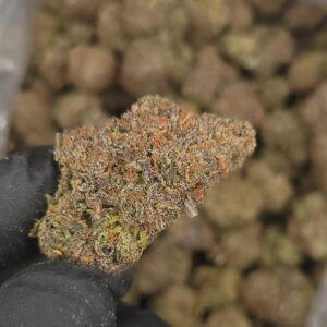 Blue NerdZ  THCa Hemp Flower Pounds