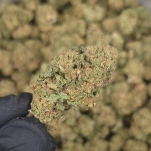 G41 THCa Hemp Flower Pounds