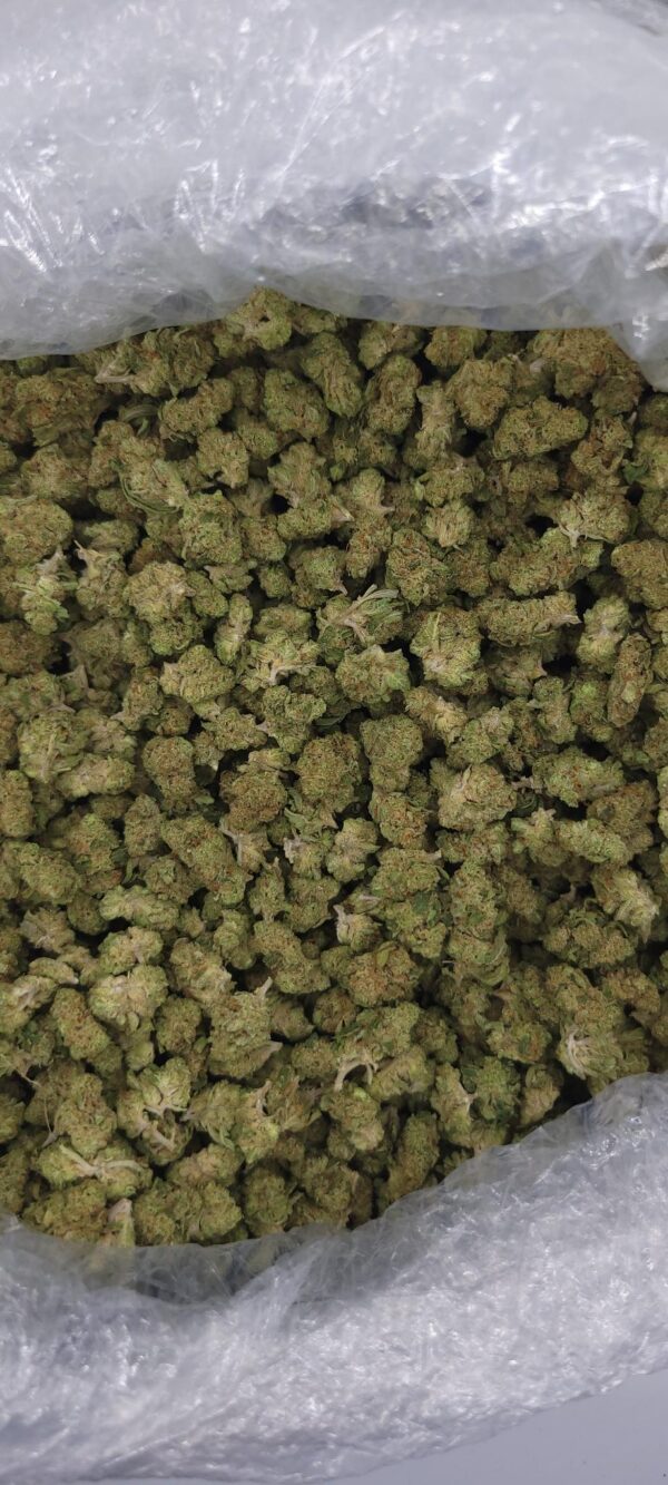 Gushmintz SMALS High THCa Hemp Flower pound