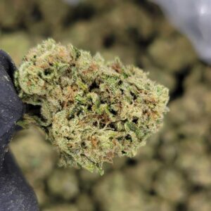 Runtz THCa Hemp Flower Pounds