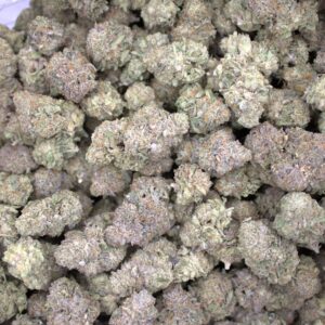 Tropicana Cookies THCa Hemp Flower Pounds