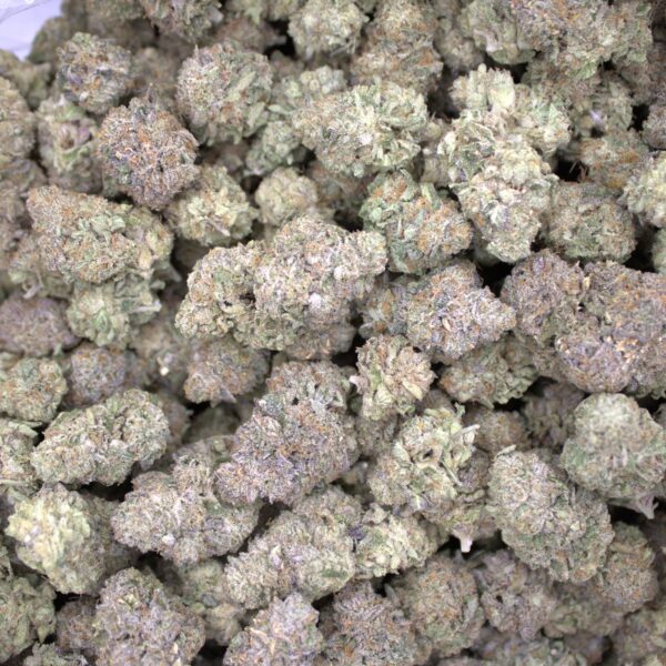 Tropicanna Cookies High THCA Hemp Flower