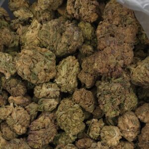 Biscotti THCa Hemp Flower Pounds