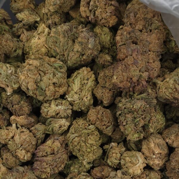 Biscotti High THCa Hemp Flower pound