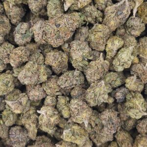 Gelato 45 THCa Hemp Flower Pounds