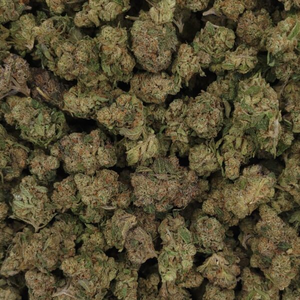 Rude Boy High THCa Hemp Flower pound