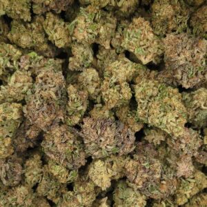 Truffle Cake THCa Hemp Flower Pounds